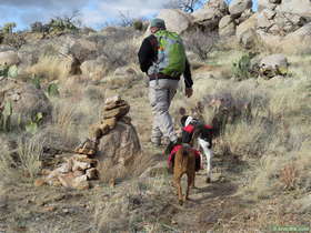 Jerry hiking along AZT Passage 14.