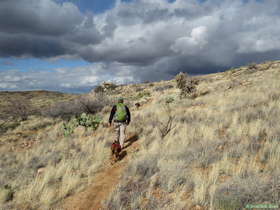 Jerry hiking along AZT Passage 14.