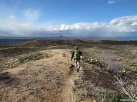 Jerry stepping lively approaching Gap Gage Wash and the truck parked along AZT Passage 14.
