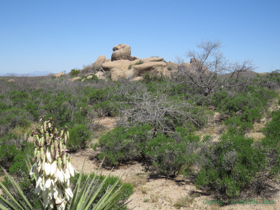 AZT Passge 15 goes through an area of wildly sculpted granite outcrops.