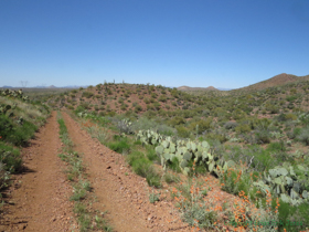 The trail becomes a road as it moves through the hills.