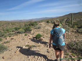 Cheetah and Jerry on Passage 15.