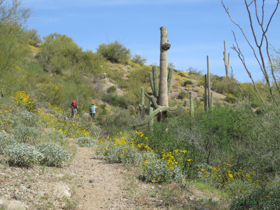 Raquel and Cheetah hiking along AZT Passage 15.