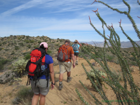 Raquel, Shaun and Cheetah hiking a ridgeline on AZT Passage 15.