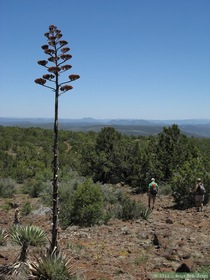 Jerry and Andrea hiking on Hardscrabble Mesa.