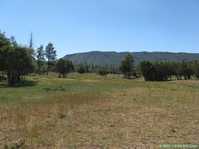 Bradshaw Meadow watershed project