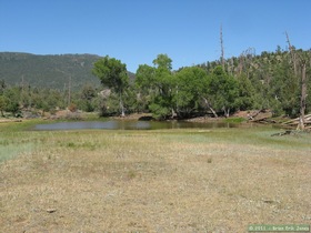 Bradshaw Meadow watershed project