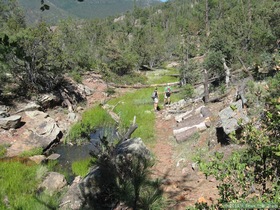 Andrea and Jerry along a pretty little stream below the pond at the Bradshaw Meadow watershed project.