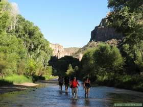 Marisa, Brian D., Brad and Mindy hiking in Aravaipa Canyon