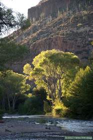 Aravaipa Canyon