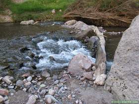 Aravaipa Creek flowing under a log.
