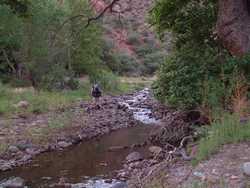 Jeff approaches the confluence of Blue River and Little Blue Creek