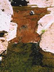 A waterfall into a small pool on Hannah Creek