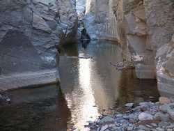 A cold, neck deep pool Hannah Creek