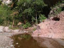 Our second camp site.  You can see Wilson on the rock, middle right