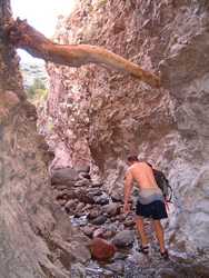 A large log wedged into the canyon wall by a past flood event.