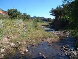 Back on the Blue River, near the confluence.