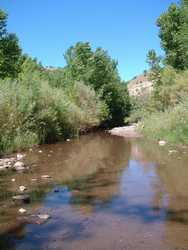 The Blue River near XXX Ranch.