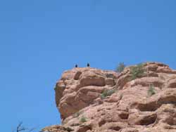A pair of vultures survey the land from a rocky vantage point.  Unfortunately they flew just as I got Big Bertha out (my new 170-500mm zoom lens).