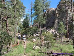 The group hiking along the Crest Trail.