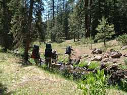 One of the many times that the trail crosses Fish Creek.