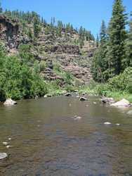 The Black River, looking upstream from the Fish Creek confluence.