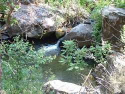 Fish Creek.
