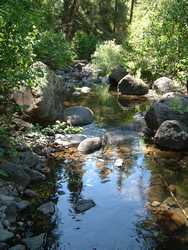 The tranquil waters of Fish Creek.