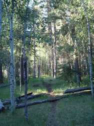 The trail was beautiful in the early morning light.