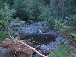 A nice little pool on Fish Creek.