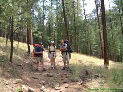 Heading down the hill to Iron Creek.