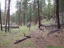 Shan, Estevan and Jerry hiking along.