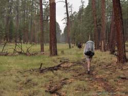 Shan and Jerry hiking in the rain.