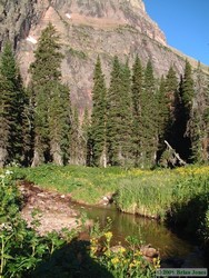 Near the No Name Lake campground.