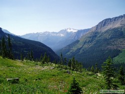 A beautiful area below Cut Bank Pass, sort of looking down towards Nyack Creek (distant background).  