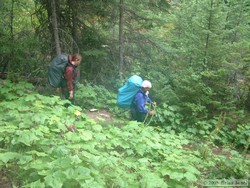 Andrea and Shan hiking in the early morning rain.