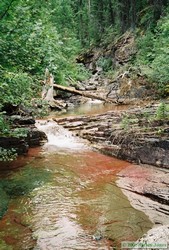 A small creek crossing the trail.