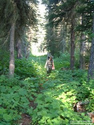 Shan hiking through a relatively open part of the trail.