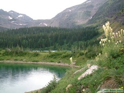 Beargrass overlooking Beaver Woman Lake's companion lake, with Beaver Woman Lake in the background.