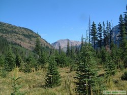 Near Surprise Pass, looking at Tinkham Mountain (I think).