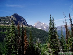 Hiking up to Cut Bank Pass.