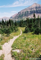 Another idyllic stretch of trail.