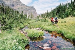 Hiking along North Fork Cut Bank Creek.