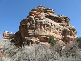 Hiking up Grand Gulch.