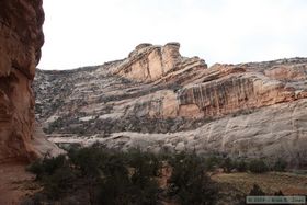 View from Split-Level Ruin in Grand Gulch.