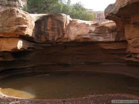 A plunge pool in Grand Gulch.