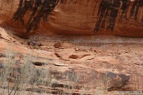 An un-named ruin in Toadie Canyon.