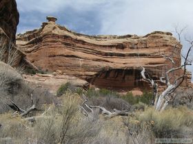 Hiking up Grand Gulch.