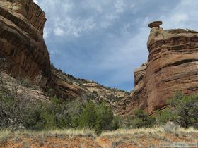 Hiking up Grand Gulch.