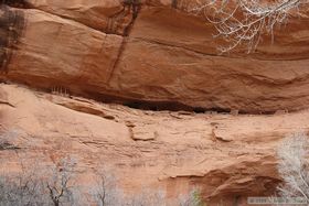 Junction Ruin in Grand Gulch.